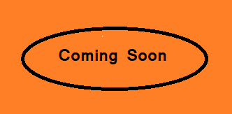 Gera Wagholi 1BHK Plan